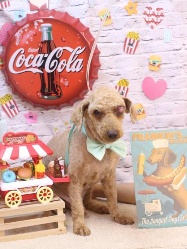 20230929ロンくん